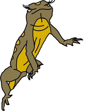 Female Lizard